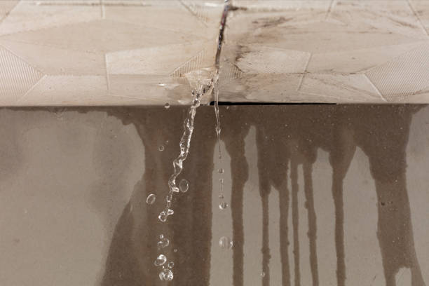 Professional Water Damage Inspection technician working in Sophia, NC